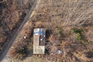 Survol de forêt en drone